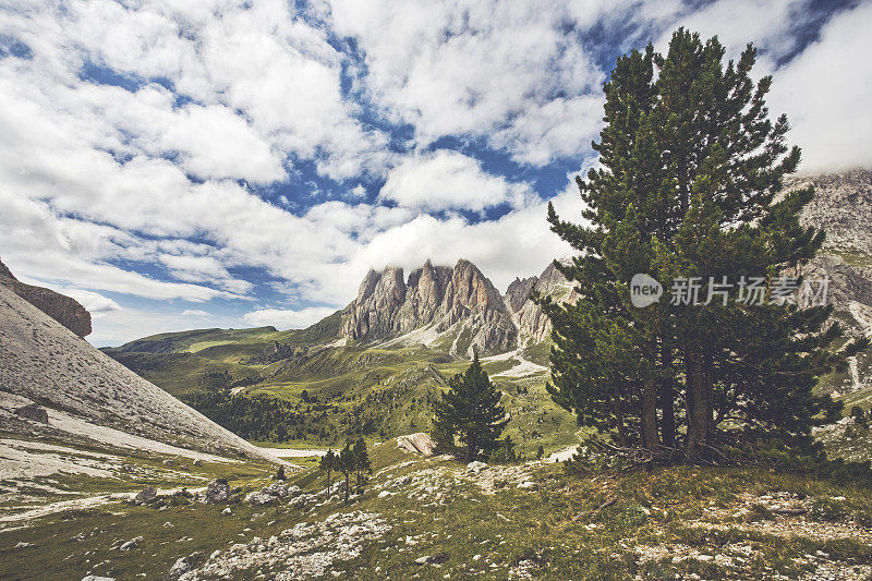 意大利Dolomites: Odle Puez